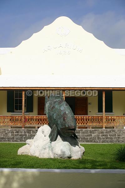 IMG_JE.AQ02.JPG - Bermuda Aquarium, Museum and Zoo, Flatt's Village, Bermuda. Front Entrance with Fish statue.