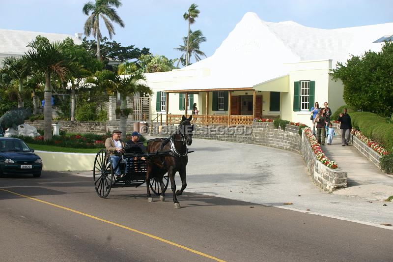IMG_JE.AQ04.JPG - Horse and Carriage passing the Bermuda Aquarium, Museum and Zoo in Flatt's Village, Bermuda