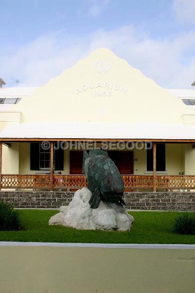 IMG_JE.AQ03.JPG - Bermuda Aquarium, Museum and Zoo, Flatt's Village, Bermuda with fish statue.