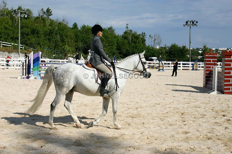 IMG_JE.EQ04.JPG - Show Jumping at the Equestrian Centre, Bermuda