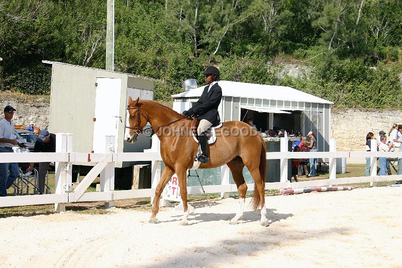 IMG_JE.EQ07.JPG - Show Jumping at the Equestrian Centre, Bermuda