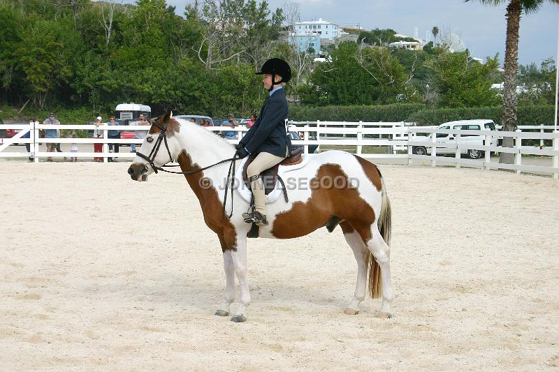 IMG_JE.EQ12.JPG - Dressage, Young rider, Equestrian Centre, Bermuda