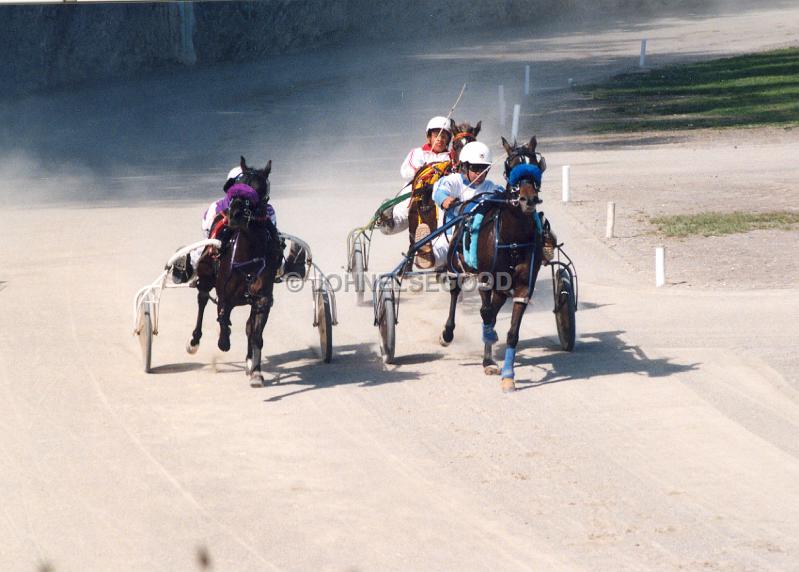 IMG_JE.EQ204.jpg - Pony Harness Racing, Equestian Centre, Bermuda