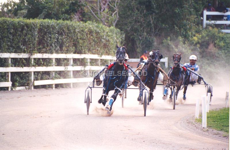 IMG_JE.EQ210.jpg - Pony Harness Racing, Equestrian Centre, Bermuda