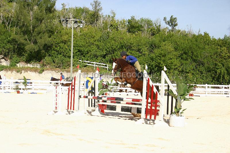 IMG_JE.EQ42.JPG - Showjumping, Equestrian Centre, Bermuda