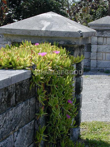 IMG_JE.GA07.JPG - Stone Pillars, South Shore Road, Bermuda