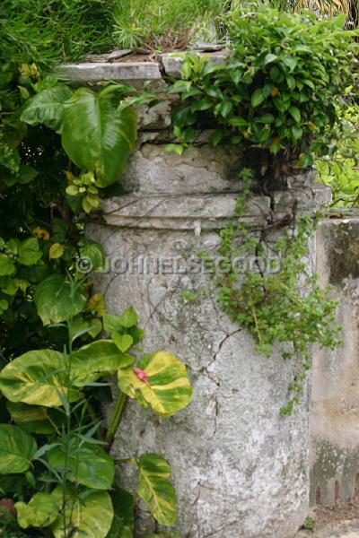 IMG_JE.GA12.JPG - Old cracked overgrown pillar, Somerset, Bermuda
