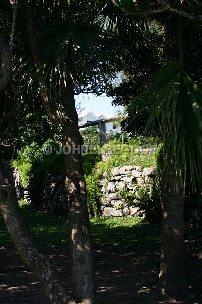 IMG_JE.GR20.JPG - Trees and wall, Shelly Bay, Bermuda