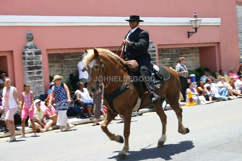 IMG_JE.BDADY51.JPG - Horses and Rider, Bermuda Day Parade, Front Street, Bermuda