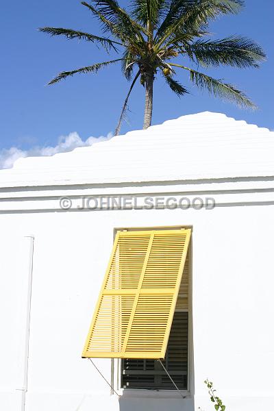 IMG_JE.WIN10.JPG - Yellow shutter, Southampton, Bermuda